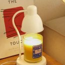 주니캔들 이미지