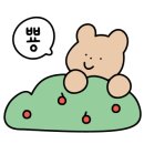 홀썸바디