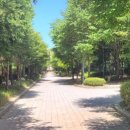 별내상록리슈빌부동산 공인중개사사무소 이미지