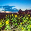 천지농장 이미지