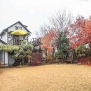 남이섬 하늘사랑 이미지