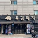 육감돼지 이미지