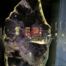 우석헌자연사박물관 이미지