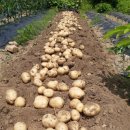 농부의 아침 이미지