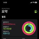 운동쟁이