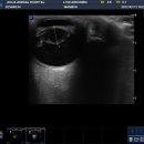 아쿠아동물병원 이미지