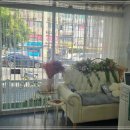 멍멍스타일 이미지