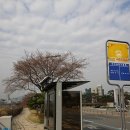 한국과학기술원 버스정류장 이미지