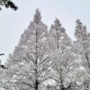 구룡체육관로 이미지