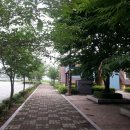 사선대주차장화장실 이미지