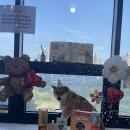 두유 개린이집 이미지