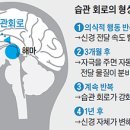 뱃살 줄이기 生活, 3개월 꾸준히… 몸이 기억하게 하자 이미지