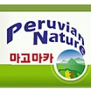 쿨캣 네이버블로그