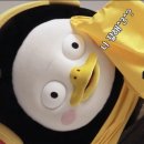 영수태권도 이미지