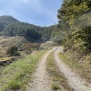 무주 당산대교 이미지