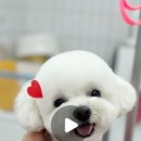 아트댕 이미지