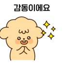 놀이로 배우는 민주주의 이미지