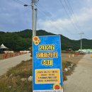 해바라기 애견 | 강화도 난정리 해바라기마을+고구저수지 연꽃 애견동반 후기 26.08.27방문