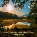 미쁘사
