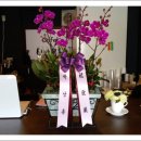 시나브로 이미지