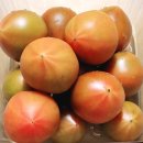 경민농장 이미지