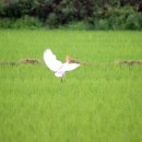 (주)들녘 이미지