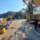 용두산산림욕장 티스토리