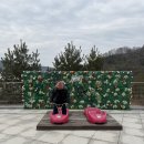 디지털 시민으로 가는 첫걸음: 나의 디지털 나이는? | 청도 군파크 루지 아이랑 다녀온 후기｜아들의 최애 등극 - 2025 끝여행 (2)