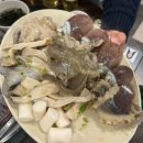 대박통 | ✨광양 중마동 쭈꾸미구이맛집✨ 닭발까지 맛있는 대박통 내돈내산 솔직후기