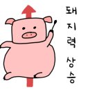 명랑시대광주 이미지