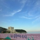 파도소리 | 거제 르씨엘 리조트｜몽돌 파도소리, 새소리, 오션뷰까지