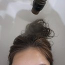 안중미용실추천 샵디토에서 헤어크리닉 상한머리 복구된 대만족 후기