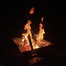 한탄강소나무캠핑 이미지