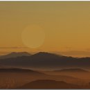 녹산사슴 이미지