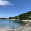 월심이네 이미지