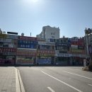 견바라기 이미지