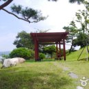 망산공원 이미지