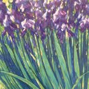 Be IN;(비인) 이미지