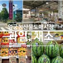 9번청과 네이버블로그