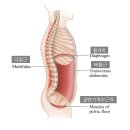 엠오엠 이미지