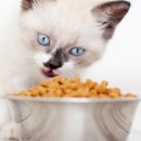 대신메디칼 이미지