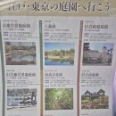 5월1(금)~5[골든위크 반값항공] 도쿄 시티&amp;문화 투어[항공 자유/연박/싱글룸] 이미지