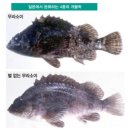 레인저피싱 이미지