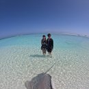 섬마 | [마푸시섬] 몰디브 DAY3 | 마푸시 투어 - KAANI 리얼브레이크 후기