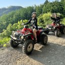 스피드존 이미지