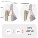 체리펫 강아지계단 애견 슬라이드스텝 이미지