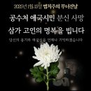 토라 이미지