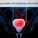 (주)이뮤니티 이미지