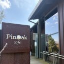 핀오크 | 강화도 자연이 어우러진 낭만 카페 [핀오크] 방문 후기