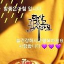 정직한사람들 이미지